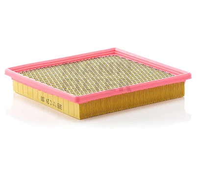 Oro filtras C24100
