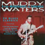 CD Muddy Waters - From Mississippi To Chicago