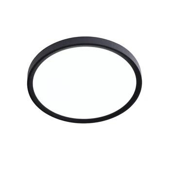 Plafonas, 24 W LED