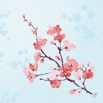 Servetėlė BIO DUNISOFT Cherry Breeze 40 x 40 cm. (60 vnt.)