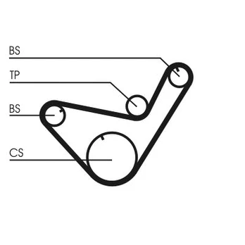 CONTI CT 714 Balancer shaft belt