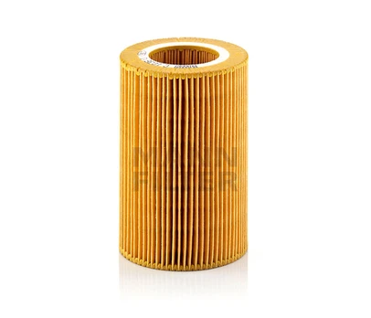 Oro filtras C1036/1