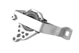 Variklio montavimas TEDGUM 00226633