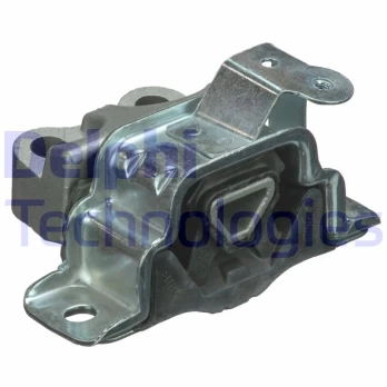 Variklio montavimas DELPHI TEM095