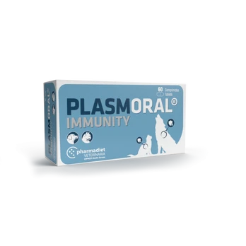 Pharmadiet Plasmoral Immunity papildai šunims ir katėms imunitetui stiprinti, 60 tablečių