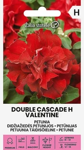 Petunijos didžiažiedės double cascade h valentine