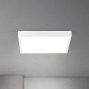 LED lubų lempa Disc, balta, ilgis 40 cm, CCT, metalas/plastikas
