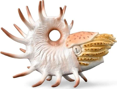 Figūrėlė Collecta Cooperoceras