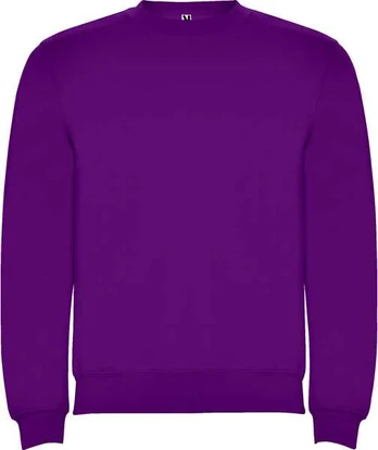 Roly Klasikinis džemperis su elastano juostele CLASICA Violetinė