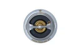Termostatas, aušinimo skystis NRF 725263 kaina