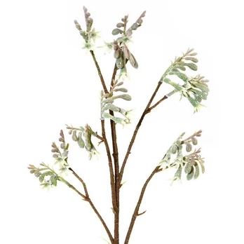 Dirbtinis augalas Eurofirany Natu 221, žalia, 75 cm