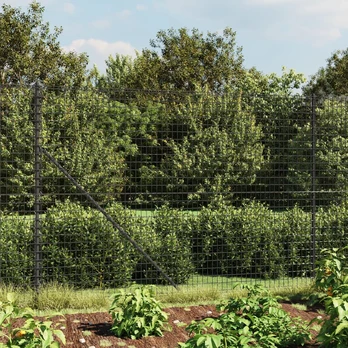 Vielin? tinklin? tvora, antracito, 2,2x25m, plienas