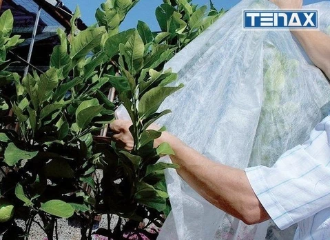 Agro plėvelė ORTOCLIMA - 2x5m