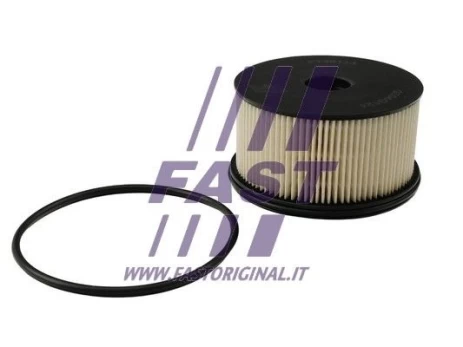 Kuro filtras FAST FT39113