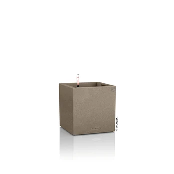 Lechuza Canto Stone 40 Smėlinė