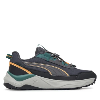 Laisvalaikio batai Puma Evolve 2.0 Trail Low Jr 313804 Pilka
