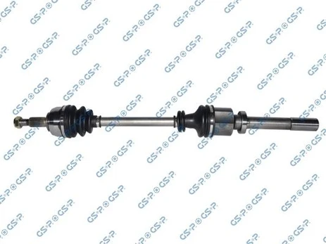 Pusašis GSP 250386