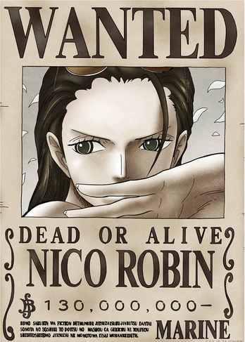 Plakatas One Piece