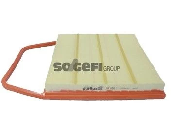 Oro filtras PURFLUX A1491