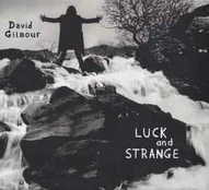 CD David Gilmour - Luck And Strange