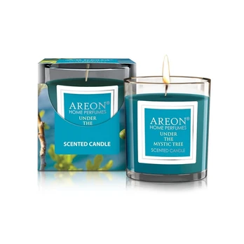 Aromatinė žvakė Under the Mystic Tree 120g