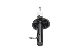 Amortizatorius Kavo Parts SSA-10120