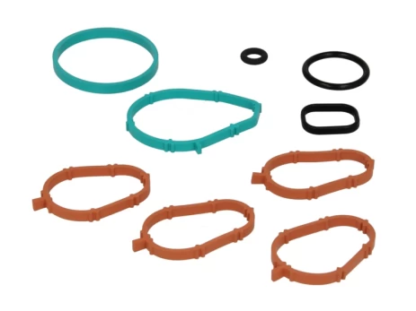 ELRING EL728670 Inlet manifold gasket set