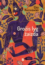 Grožis lyg žaizda kaina