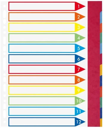 Exacompta 2612E, Multicolour, Cardboard, A4, 245 mm, 297 mm, 0.5 mm