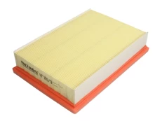 Oro filtras FILTRON AP109/9 kaina