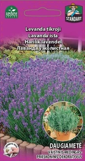 TIKROJI LEVANDA