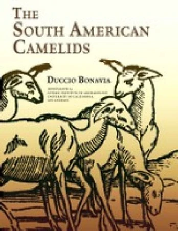 South American Camelids
