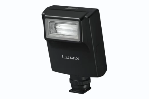 Blykstė Panasonic DMW-FL220E