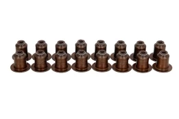 REINZ 12-12643-01 Valve stem seal set kaina