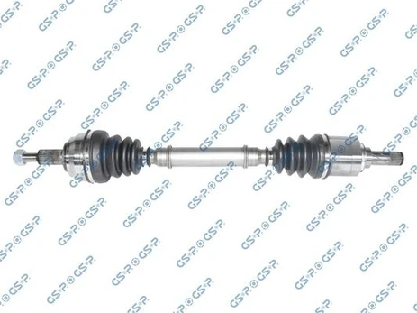 Pusašis GSP 250451