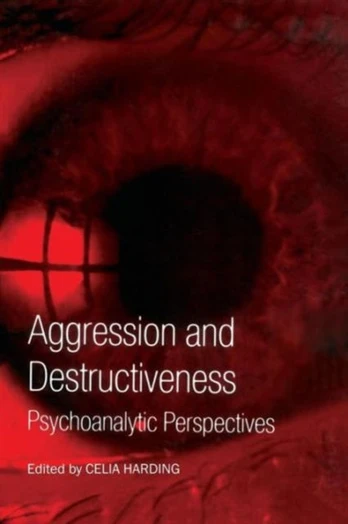 Aggression and Destructiveness - Minkštas viršelis