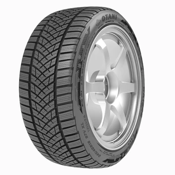 Otani WK1000 205/50R17