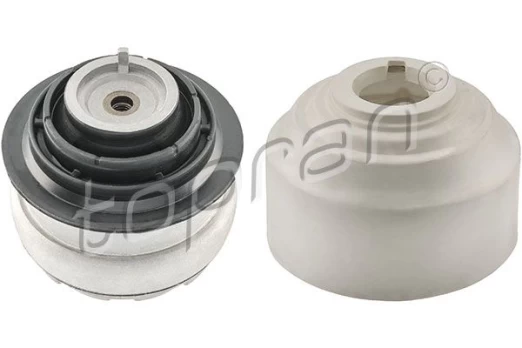 Variklio montavimas TOPRAN 408 302