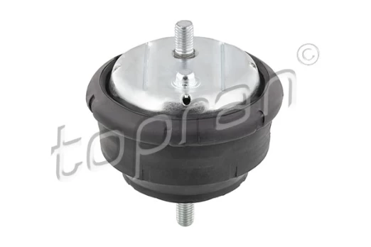Variklio montavimas TOPRAN 500 279