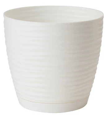 Vazonas Sahara 15 cm