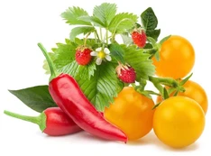 Click & Grow Plant Pod Fruit & Veggie Mix 9pcs | PPMFVX9 kaina