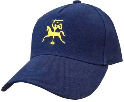 Kepurė Auksinis Vytis