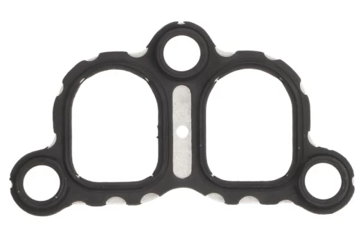REINZ 71-36074-00 Intake manifold gasket