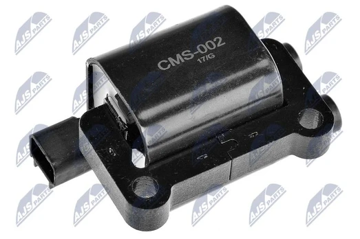Ritė, uždegimas NTY ECZ-MS-002
