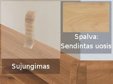 Grindjuostė termoplasto Vox, (34) sendintas uosis | Sujungimas SMART FLEX / IZZI