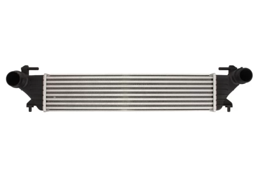 tarpinis suslėgto oro aušintuvas, kompresorius THERMOTEC DAF011TT