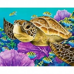 Deimantinis paveikslas Young Green Sea Turtle WD2428