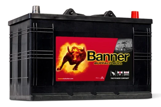 BANNER Buffalo Bull 61011 110Ah 800A (EN) akumuliatorius