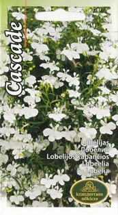 Lobelijos Kabančios White Cascade