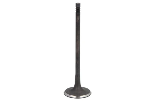 Įvado vožtuvas FRECCIA R6916/SNT